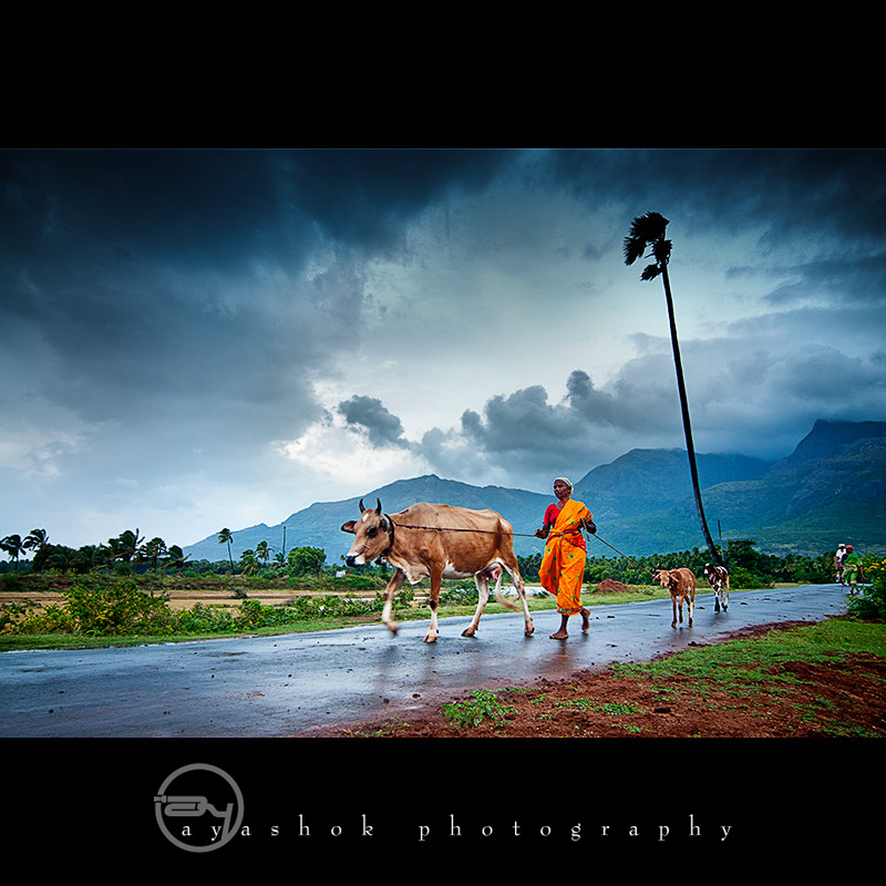 A day ends - Monsoon Photography Gallery