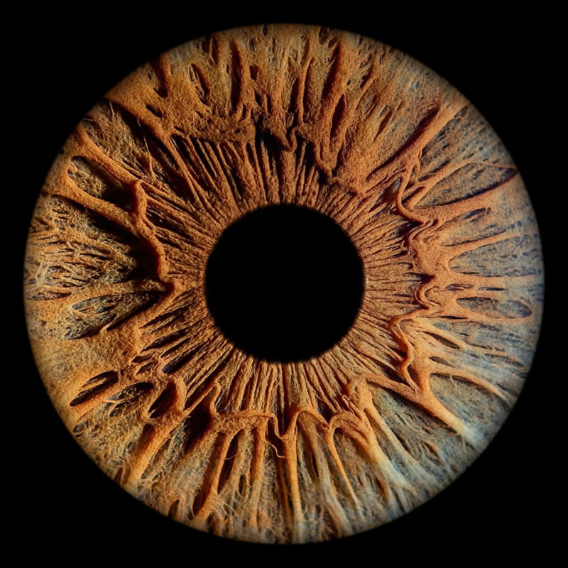The Beauty Of The Human Eye Captured In Immense Detail By Iris Photography
