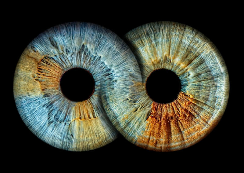 The Beauty Of The Human Eye Captured In Immense Detail By Iris Photography