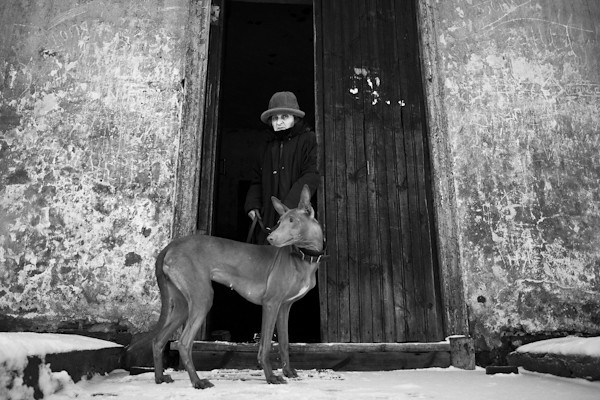 Dog in the Door - 35 Fantastic Black and Whiite Street Photographs